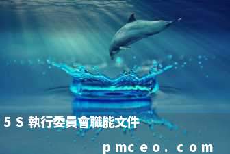 5S執行委員會職能文件