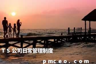 TS公司日常管理制度