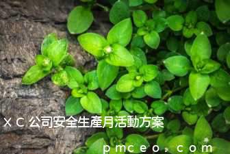XC公司安全生產月活動方案