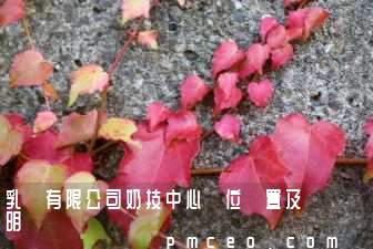 乳業有限公司奶技中心崗位設置及職責說明