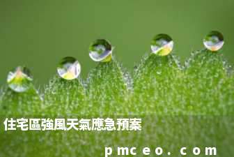住宅區強風天氣應急預案