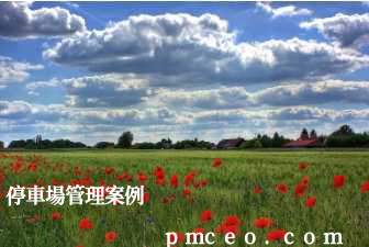 停車場管理案例