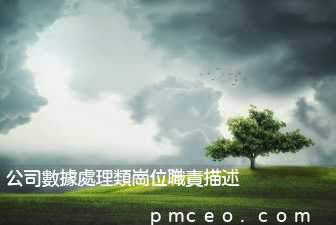 公司數據處理類崗位職責描述