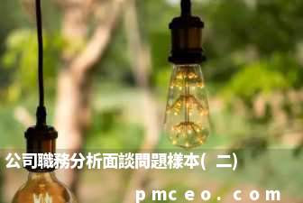 公司職務分析面談問題樣本(二)