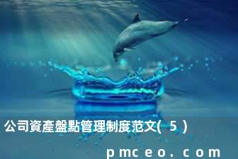 公司資產盤點管理制度范文(5)