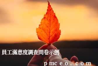 員工滿意度調查問卷示例