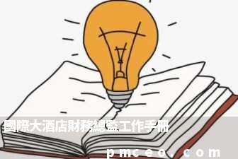 國際大酒店財務總監工作手冊