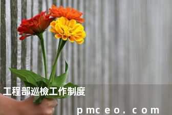 工程部巡檢工作制度