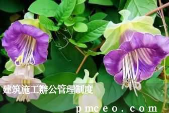 建筑施工辦公管理制度