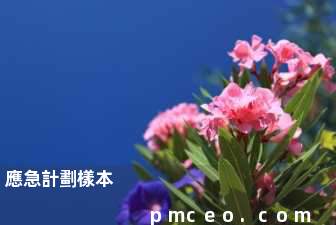應急計劃樣本