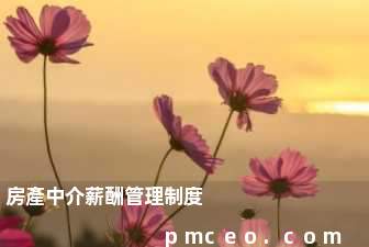 房產中介薪酬管理制度