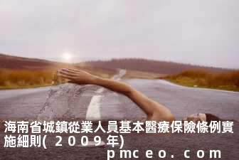 海南省城鎮從業人員基本醫療保險條例實施細則(2009年)