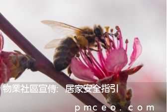 物業社區宣傳:居家安全指引