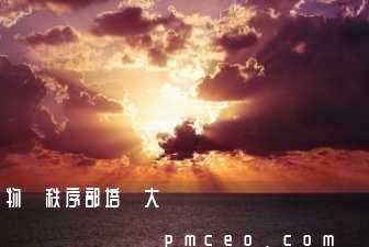 物業秩序部培訓大綱