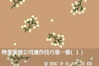物業管理公司運作技巧第一節(1)