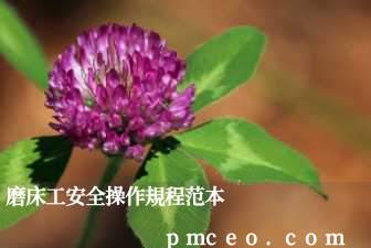 磨床工安全操作規程范本