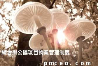 綜合辦公樓項目物業管理制度