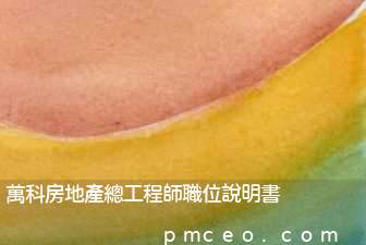 萬科房地產總工程師職位說明書