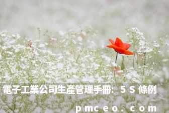 電子工業公司生產管理手冊:5S條例