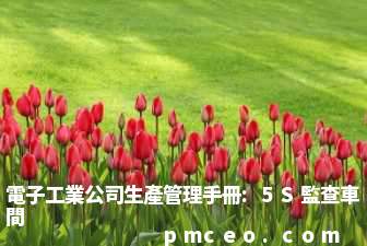 電子工業公司生產管理手冊:5S監查車間